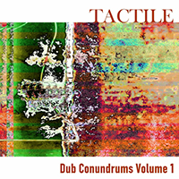 Tactile (USA) - Dub Conundrums, Vol. 1