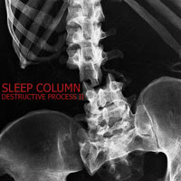 Sleep Column - Destructive Process II