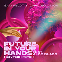 Feldt, Sam - Future In Your Hands (feat. Aloe Blacc) (Skytech Remix) (Single)
