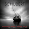 2015 Schubert (with Marie-Pierre Langlamet, Ludwig Quandt, Lara St. John)