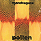 1999 Pollen