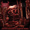 Visceral Carnage - Perverse Collection of Mutilated Bodies