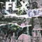 2020 FLX (EP)