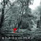 2005 Shadowman (Limited Edition)