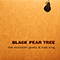 2008 Black Pear Tree EP
