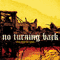 No Turning Back - Rise Form the Ashes
