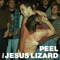 Jesus Lizard - Peel Sessions