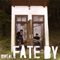 2009 Fate By Coincidence