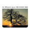 2005 The Sunset Tree