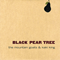 2008 Black Pear Tree EP