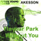 2009 Without You / Flavour Park (EP)