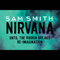 2014 Nirvana (Until The Ribbon Breaks Re-Imagination)