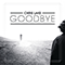 2014 Goodbye (Radio Edit) (Single)