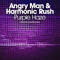 2015 Angry man & Harmonic rush - Purple haze (Single) 