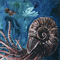 2015 Ammonite