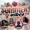 Various Artists [Soft] ~ VT4 Summer Vibes 2010