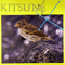 2005 Kitsune X