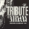 2003 A Tribute To Nirvana