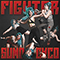 2015 Fighter (Radio Edit) (Single)