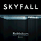 2017 Skyfall (Feat. Jan Schmidt) [Single]