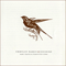 2007 Songbird: Rare Tracks And Forgotten Gem (CD 4)