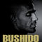 2009 Das Horbuch - Liest Bushido (CD 3)