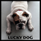 2014 Luky Dog