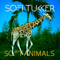 2016 Soft Animals EP