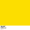 2021 Yellow (Single)