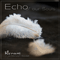 2013 Echo Of Our Souls (Single)